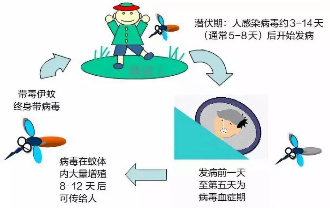 微信图片_20190926144117.jpg