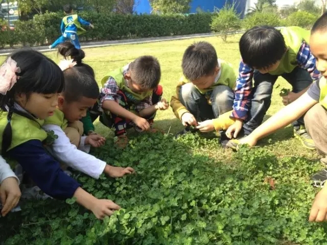 夏秋季交替，如何提高孩子的抵抗力