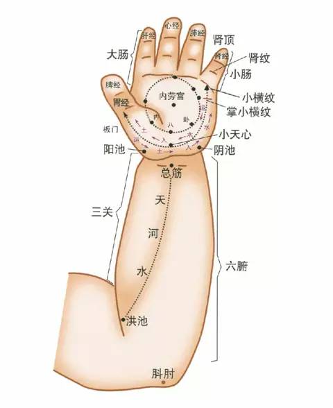 小儿推拿穴位图