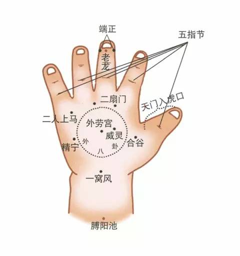 小儿推拿穴位图
