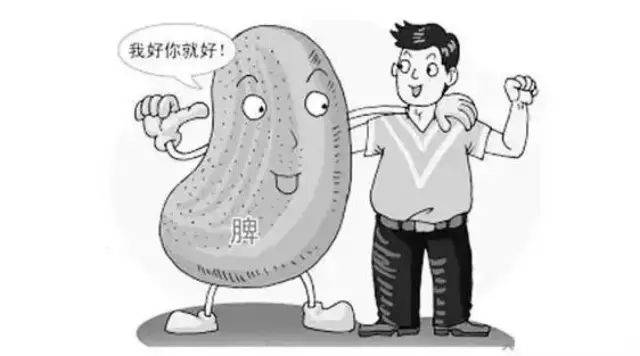 脾虚了？试试清代的补脾点心~