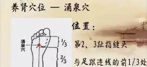 小儿推拿-增精益髓、补肾壮阳、强筋壮骨