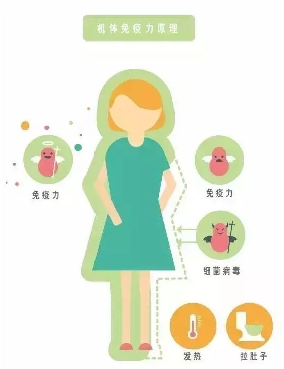 机体免疫原理