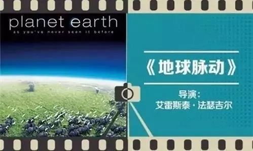 陪孩子看纪录片胜过其它电视