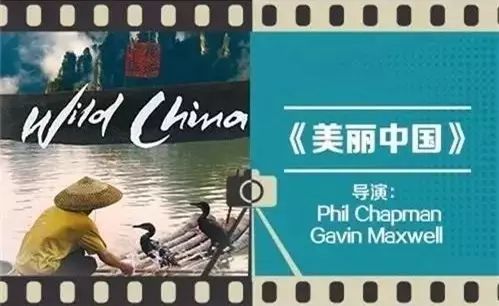 陪孩子看纪录片胜过其它电视