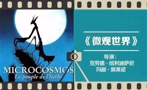 陪孩子看纪录片胜过其它动画片