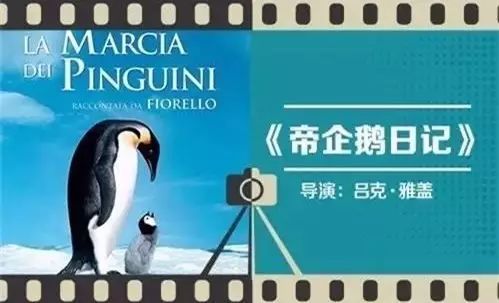 陪孩子看纪录片胜过其它动画片